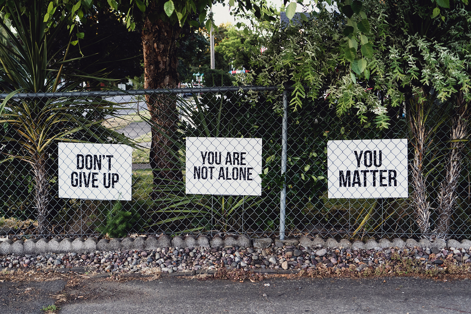 Signs of encouragement in Salem, Oregon. Photo by Dan Meyers/Unsplash/Creative Commons