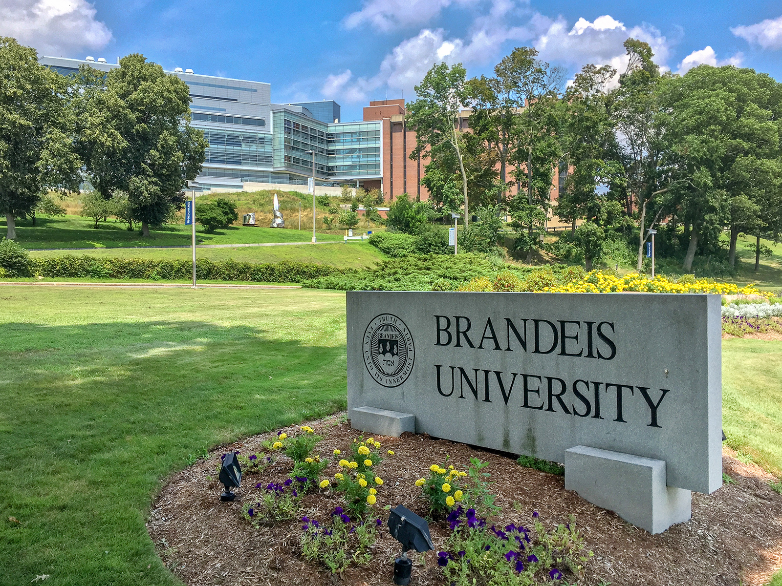 A sign marks the entrance of Brandeis University in Waltham, Massachusetts, on Aug. 7, 2018. (Photo by Kenneth C. Zirkel/Creative Commons)