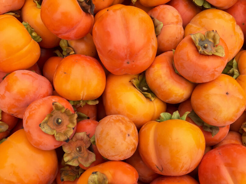 Persimmons gleaned by Village Harvest in California in 2019. Photo by Aziz Baameur
