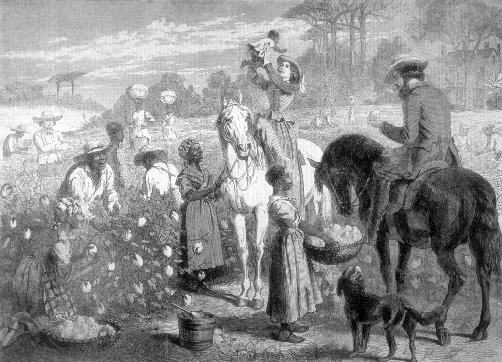There was a time reparations were actually paid out – just not to formerly enslaved people