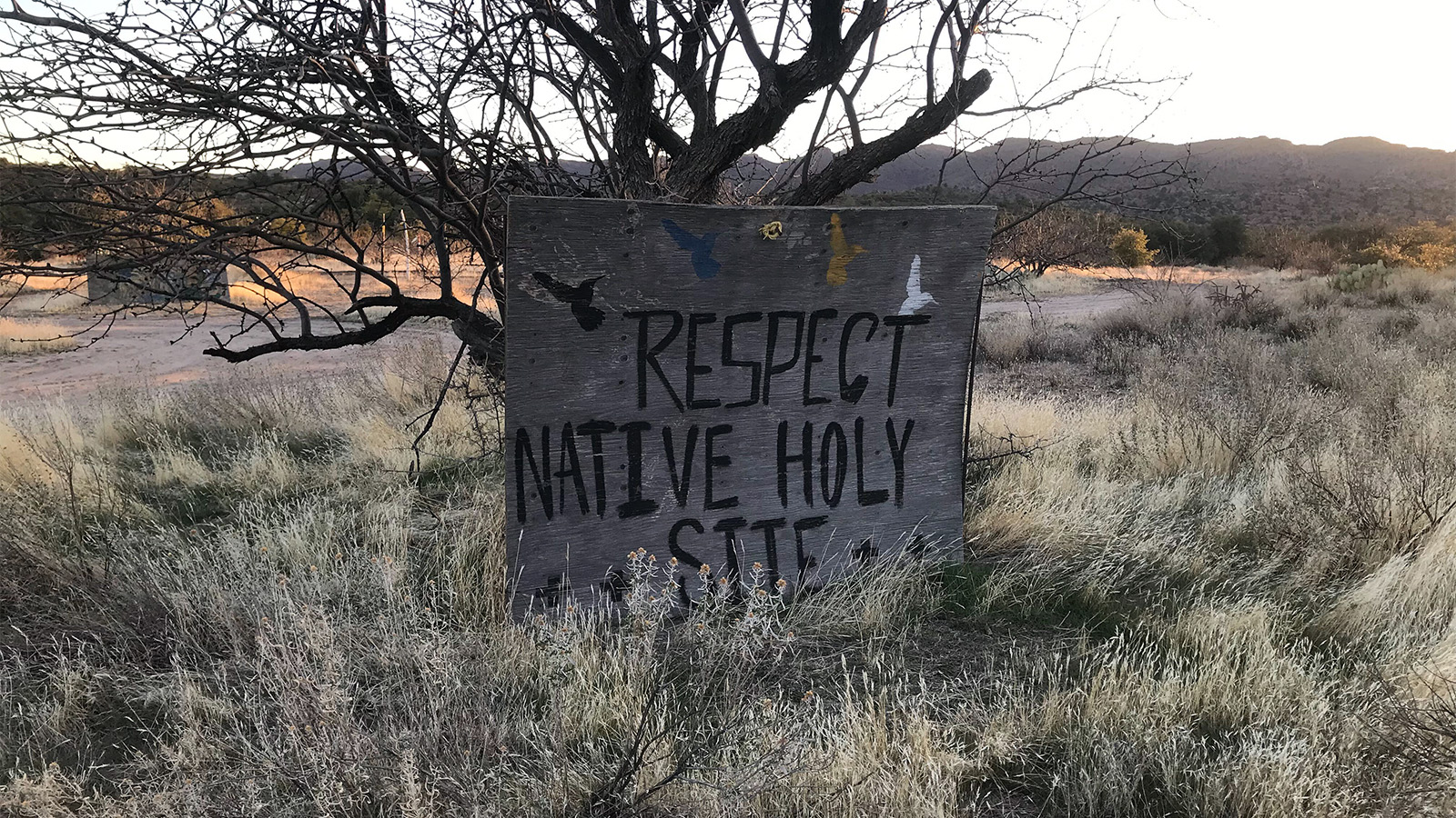 Signs protesting the transfer of Oak Flat stand just outside the Oak Flat campground in Arizona’s Tonto National Forest, roughly 70 miles east of Phoenix. RNS photo by Alejandra Molina