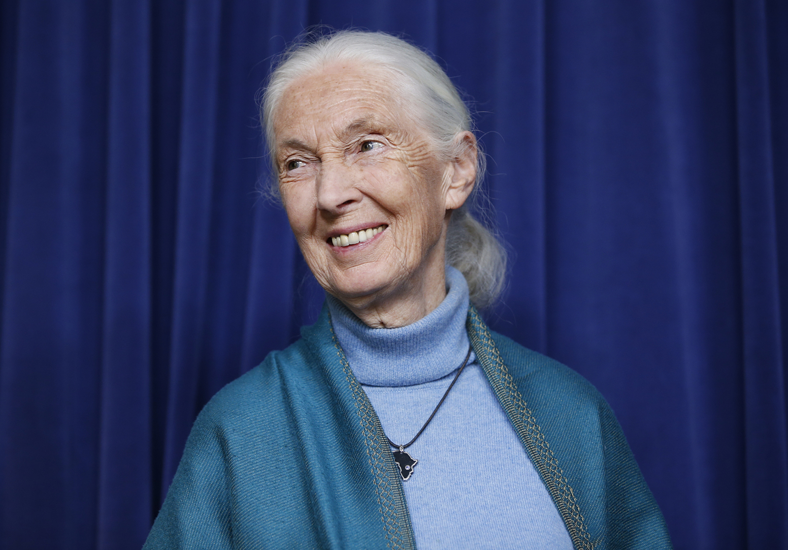 This April 3, 2019, file photo shows primatologist Jane Goodall being honored for her lifetime achievements at a ceremony on her 85th birthday in Los Angeles. (AP Photo/Damian Dovarganes, File)