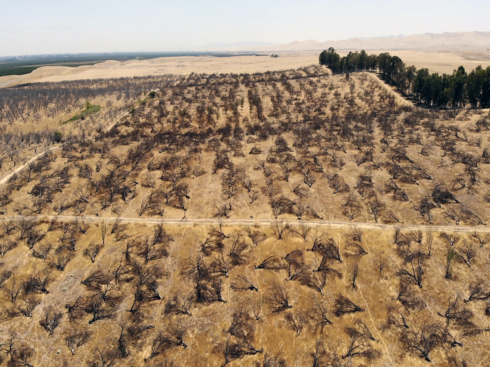 Pray.com supports family farms hit by historic droughts