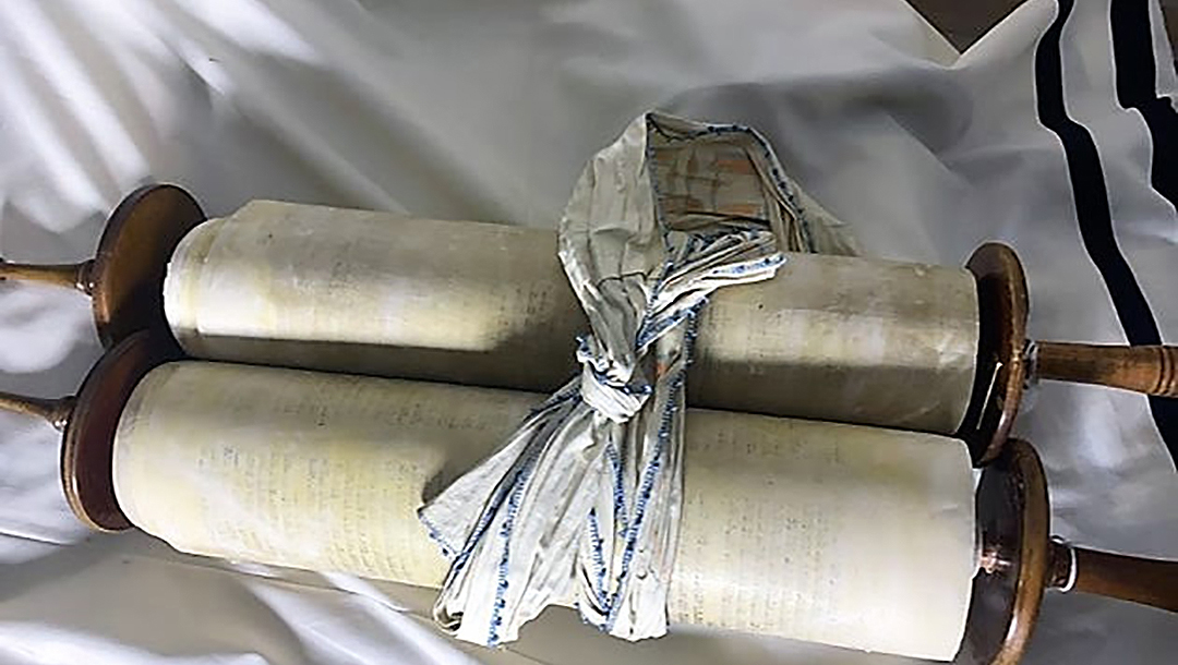 Czech Torah Scroll No. 1052, of the Memorial Scrolls Trust in London, will be on permanent loan to congregation Ec Chajim in Prague, Czech Republic. Photo Courtesy Memorial Scrolls Trust