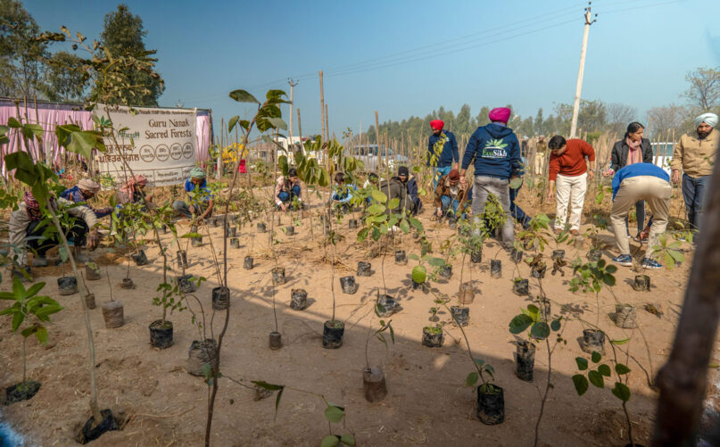 Tree planting by EcoSikh members. Photo courtesy of EcoSikh