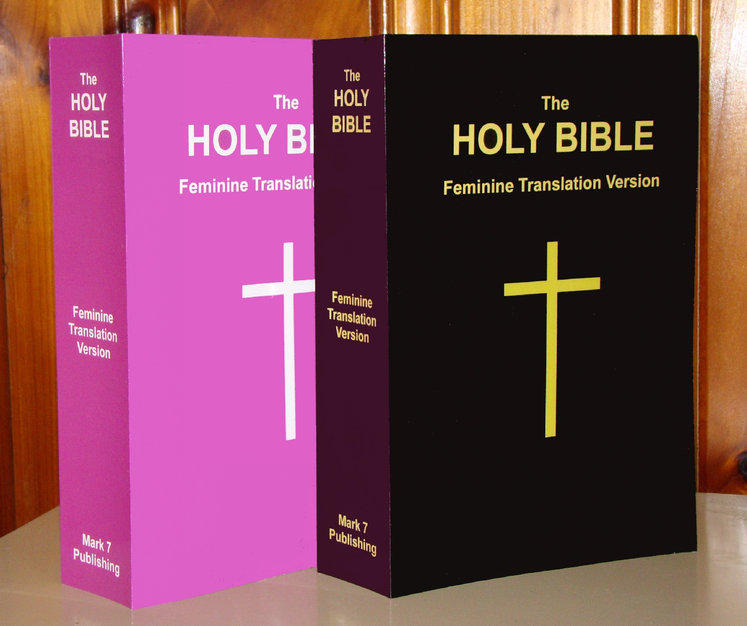 The ‘HOLY BIBLE Feminine Translation Version’ seeks to end biblical misogyny