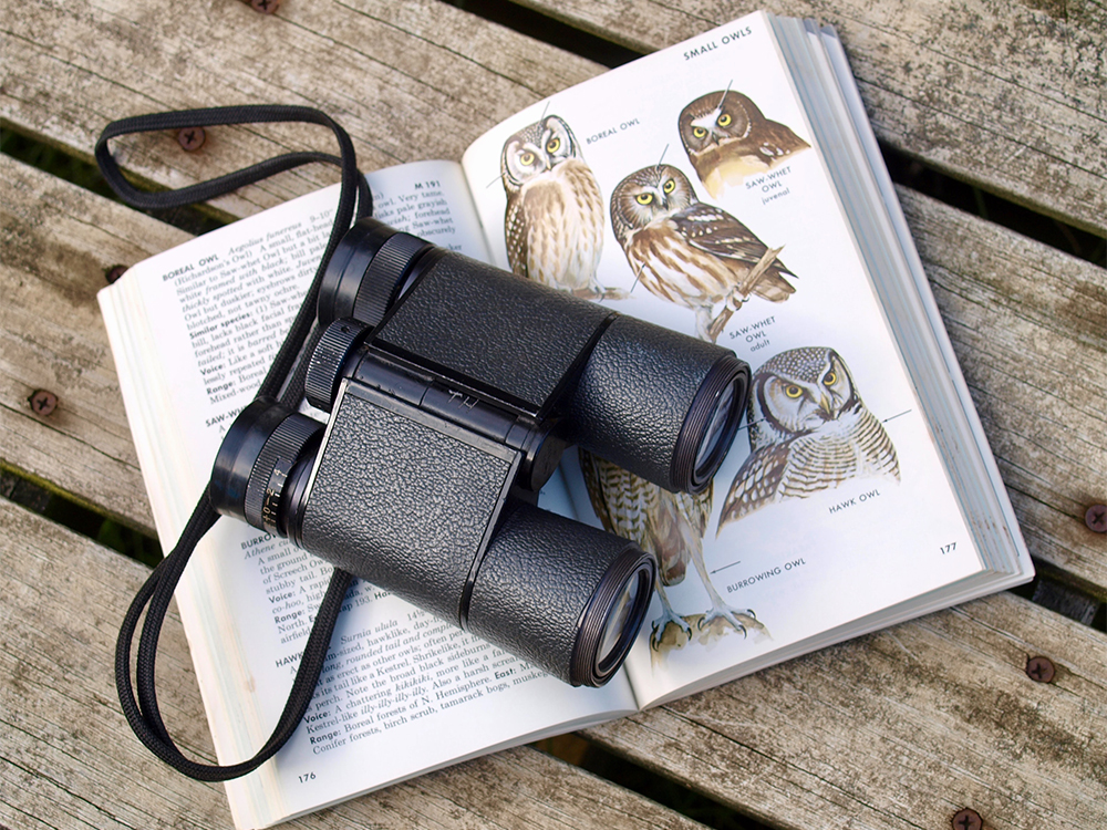 Binoculars sit on a bird field guide book. Photo by Diane Helentjaris/Unsplash/Creative Commons