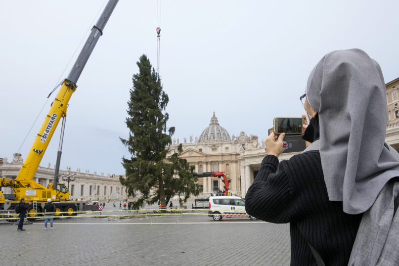 A nun takes photos as a crane lifts a 113-year-old and 28-meter-tall spruce in St. Peter's Square, to serve as a Christmas tree, at the Vatican, Tuesday, Nov. 23, 2021. A gift from the city of Andalo in Trentino Alto Adige-South Tyrol region, northeastern Italy, the 8-ton present will be lit up on Dec. 10. (AP Photo/Andrew Medichini)