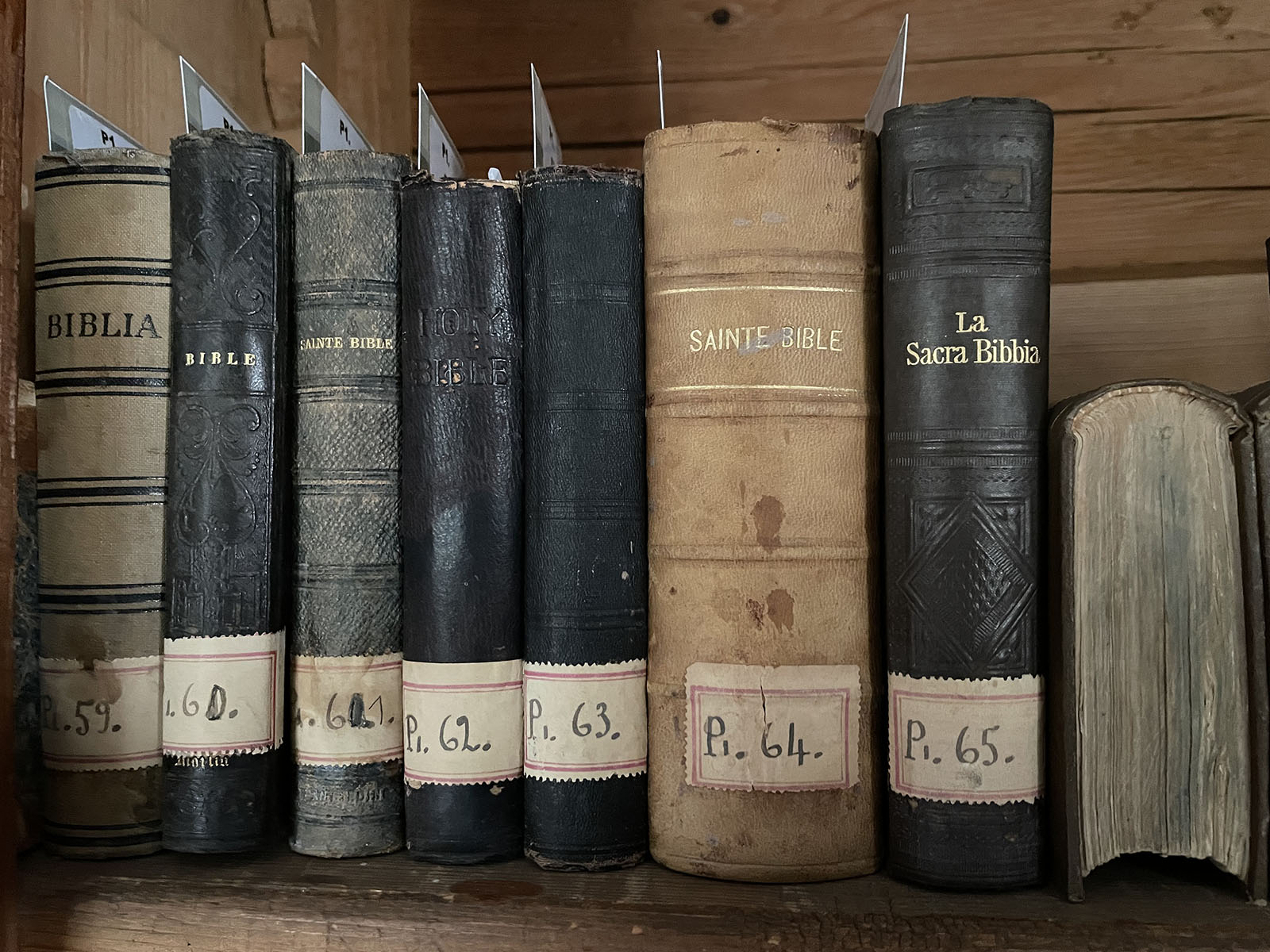 Bibles in the library of the Halki Orthodox Seminary in Turkey. Photo by David I. Klein