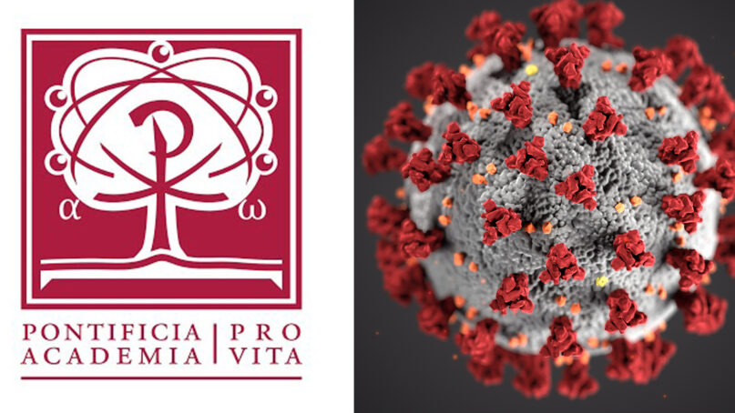 The Pontifical Academy for Life logo, left, and a CDC illustration of a coronavirus. Courtesy images