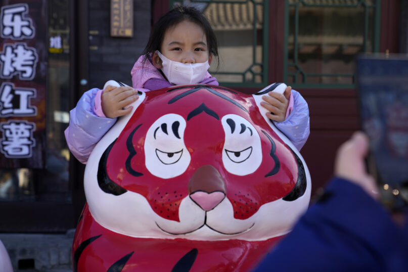 A child wearing a mask holds on to the ears of a Tiger sculpture on the first day of the Lunar Year of the Tiger in Beijing, China, Tuesday, Feb. 1, 2022. (AP Photo/Ng Han Guan)