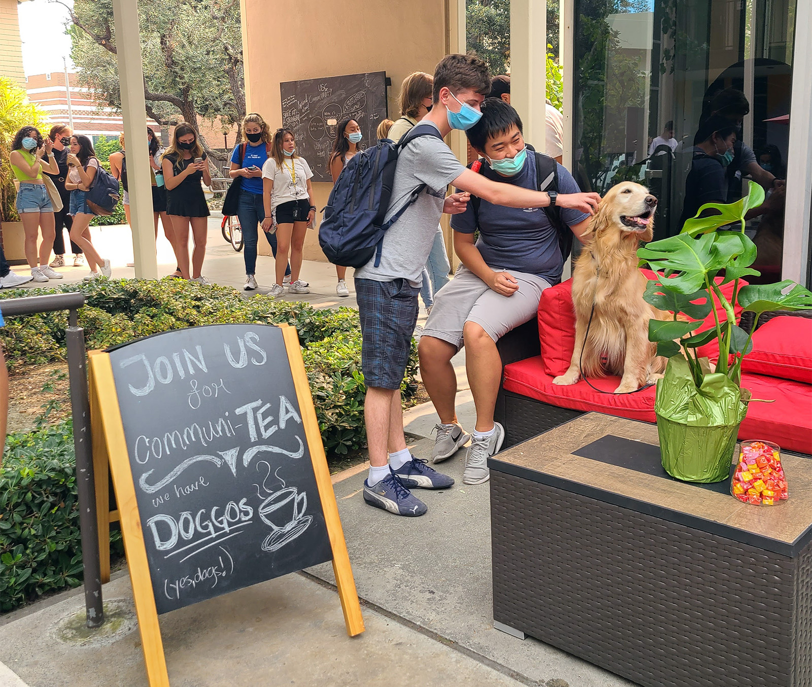 Students pet dogs during an event sponsored by USC's Office of Religious and Spiritual Life in Los Angeles. Photo courtesy Vanessa Gomez Brake