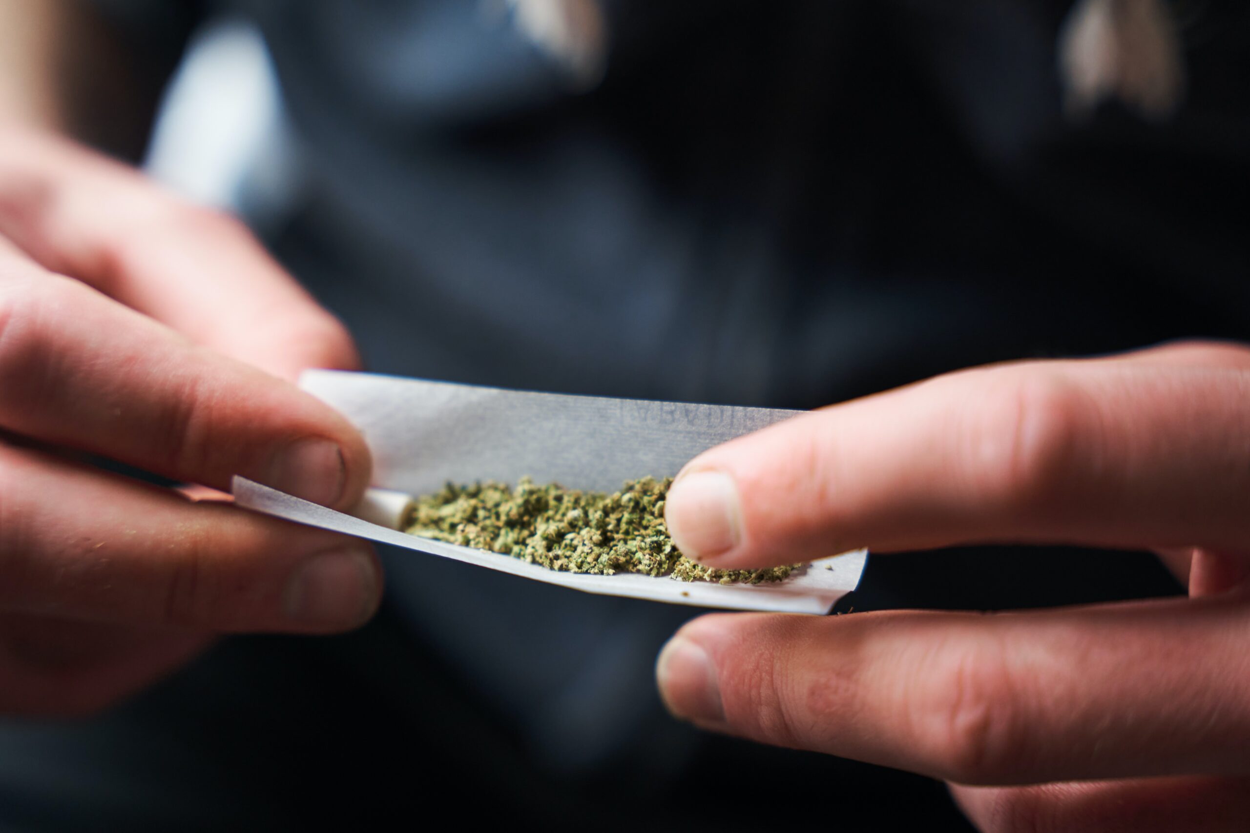 Cannabis prohibition in France over the past 50 years has disproportionately punished its Muslim minority