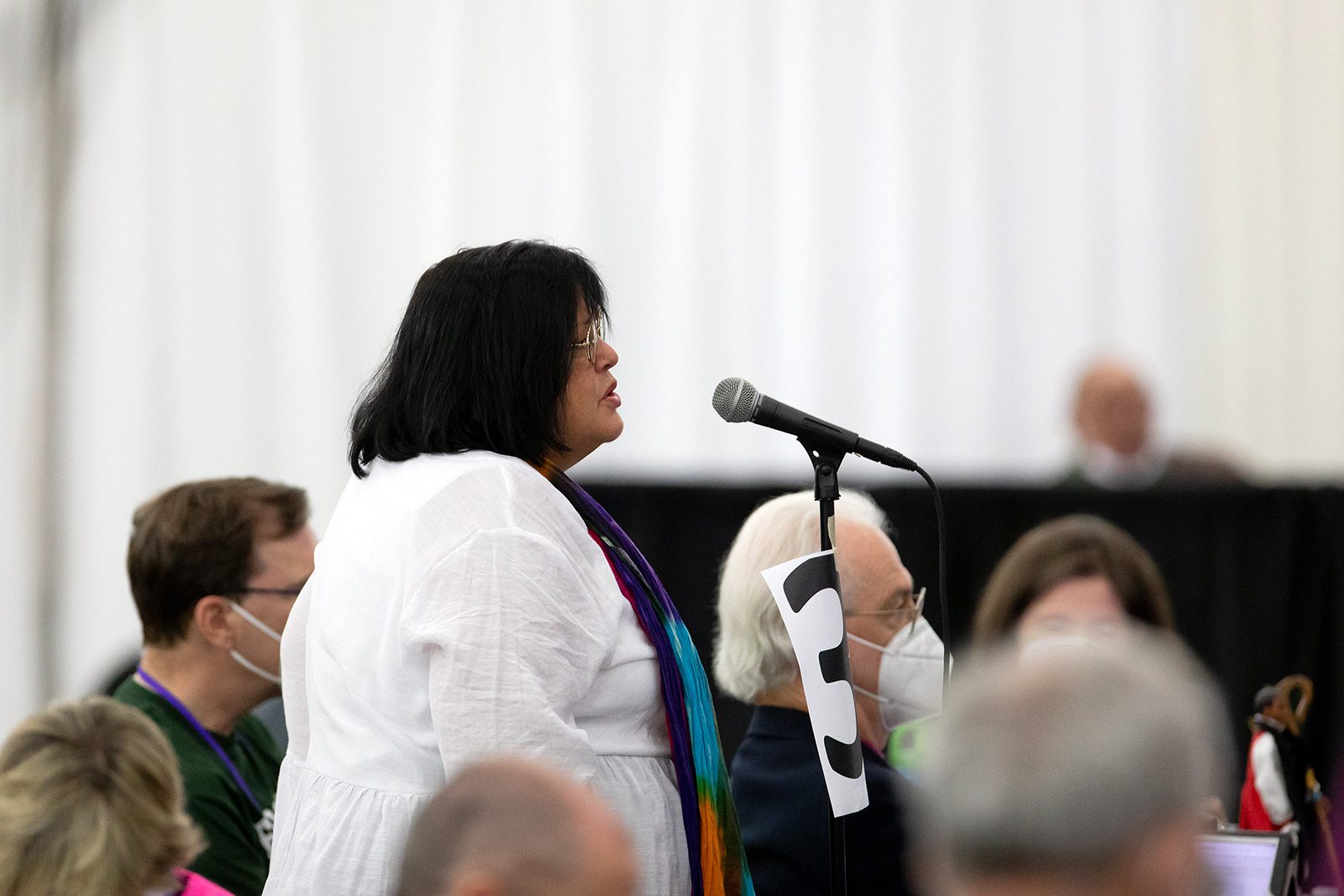 Bishop Carol J. Gallagher, regional canon for the Central Region of the Diocese of Massachusetts, speaks during the Episcopal Church General Convention in Baltimore, Maryland. Photo by Randall Gornowich