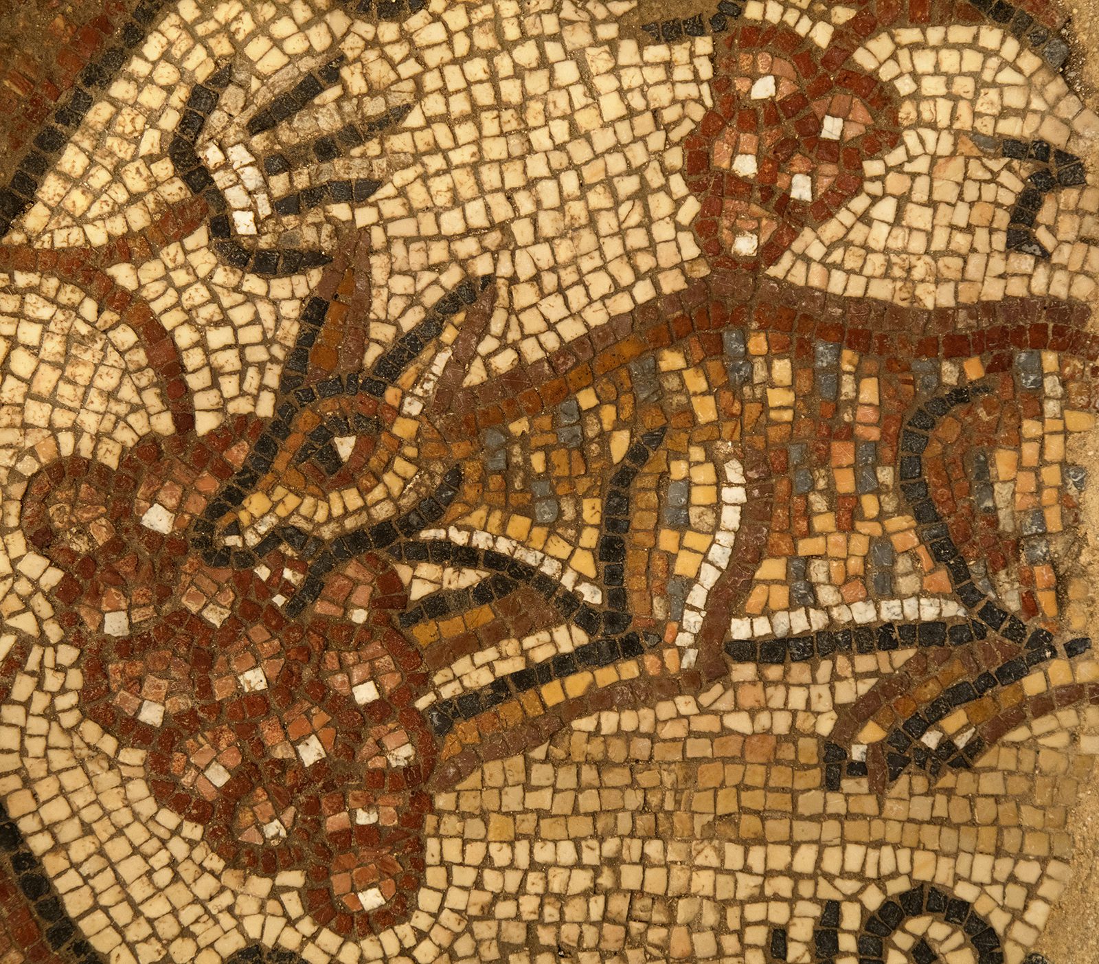 A 1600-year-old mosaic depicting a fox eating grapes in the ancient synagogue at Huqoq, Israel. Photo © Jim Haberman