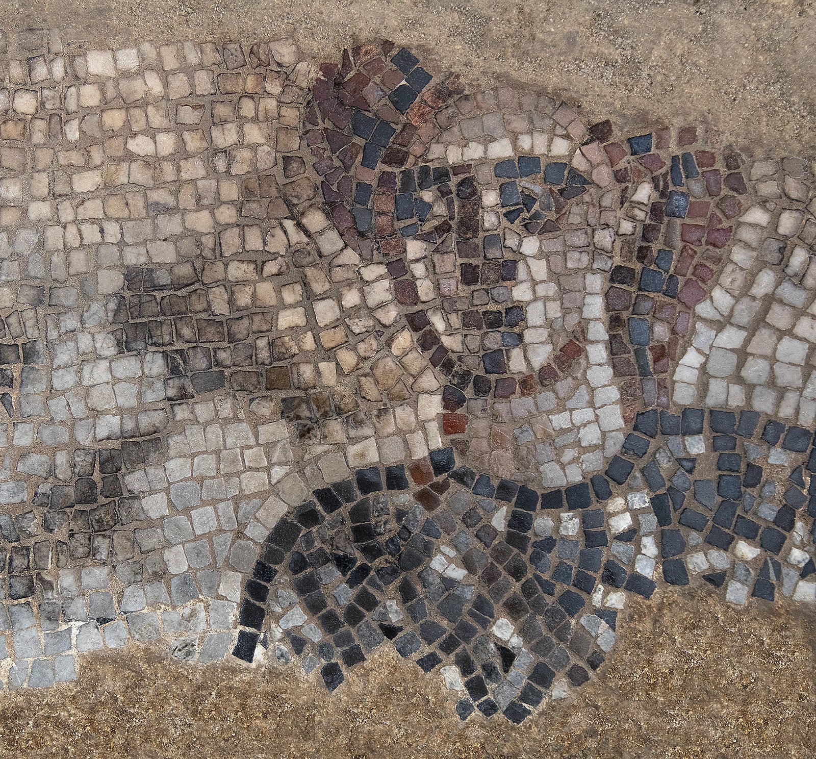 The Israelite commander Barak depicted in the Huqoq synagogue mosaic. Photo © Jim Haberman