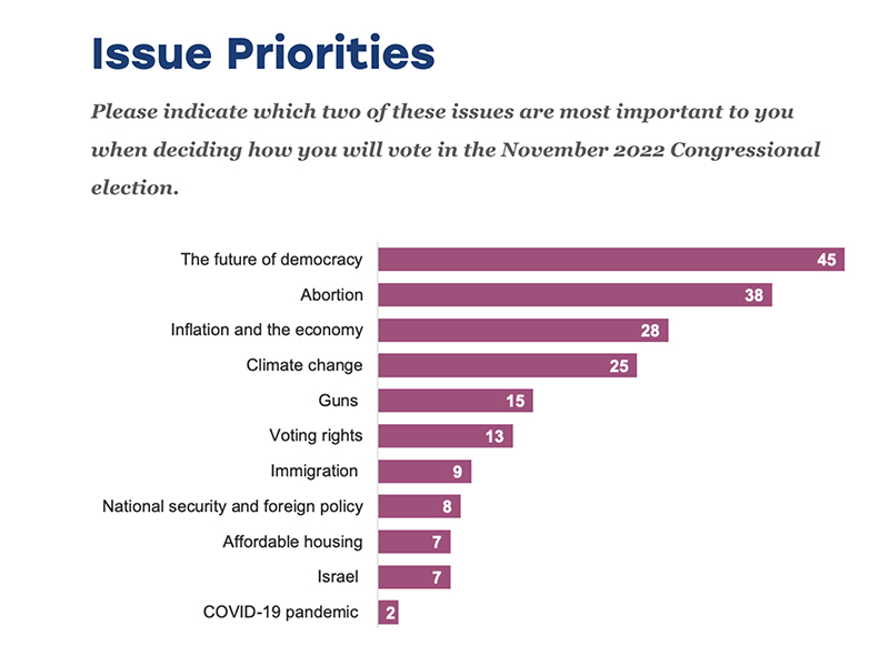 "Issue Priorities" Graphic courtesy of the Jewish Electorate Institute