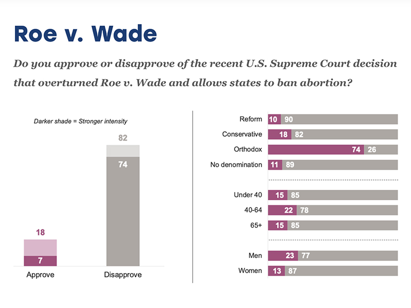 "Roe v. Wade" Graphic courtesy of the Jewish Electorate Institute