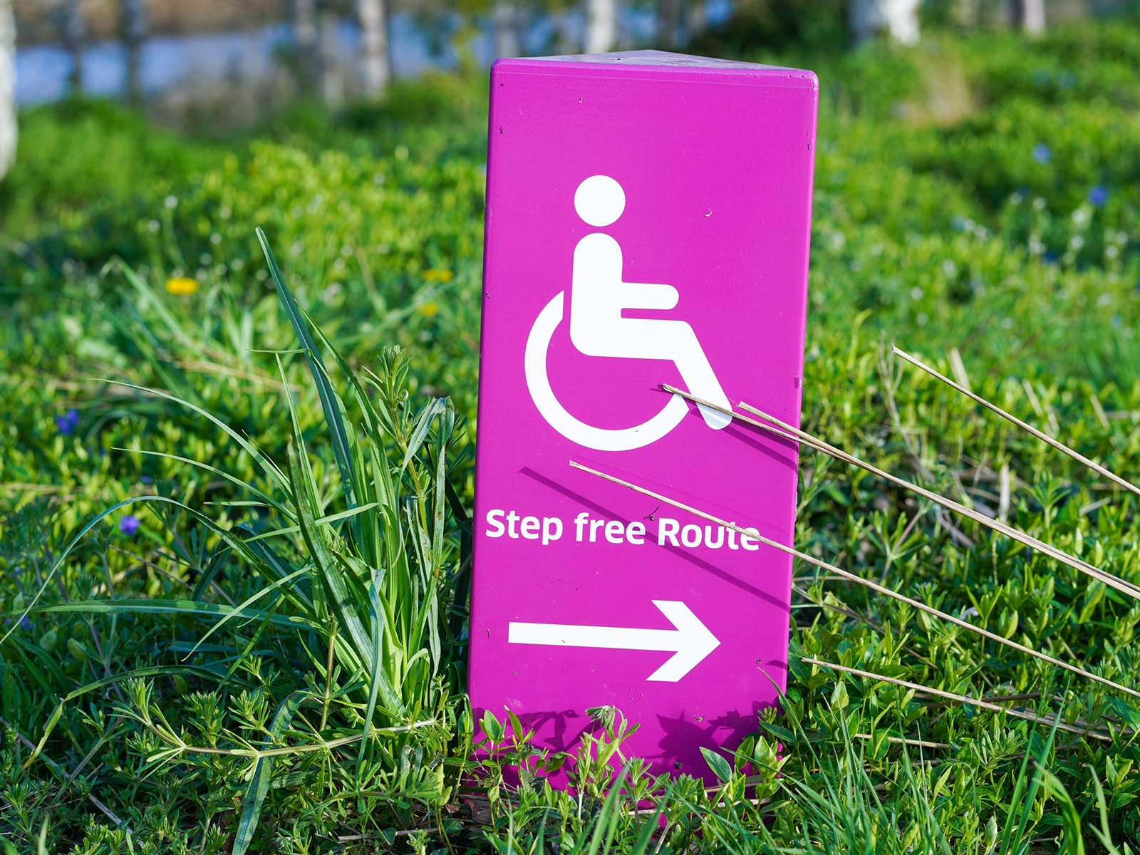 Unitarian Universalists resolve to fight ableism highlighted by pandemic