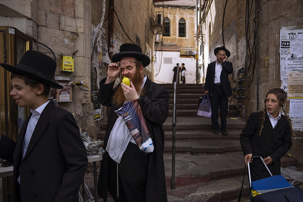 An ultra-Orthodox Jewish man inspects an etrog, a citrus fruit, to determine if it is ritually acceptable as one of the four items used as a symbol on the Jewish holiday of Sukkot, in Jerusalem's Mea Shearim neighborhood, Friday, Oct. 7, 2022. The holiday commemorates the Israelites 40 years of wandering in the desert and a decorated hut is erected outside religious households as a sign of temporary shelter. The weeklong holiday begins on Sunday. (AP Photo//Oded Balilty)