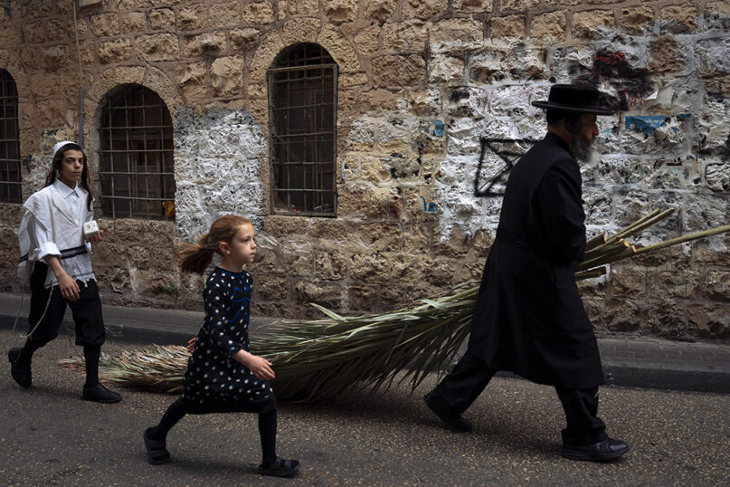 An ultra-Orthodox Jewish man carries palm fronds to build a Sukkah, a temporary structure built for the Jewish holiday of Sukkot, in Jerusalem's Mea Shearim neighborhood, Friday, Oct. 7, 2022. The Sukkah is built and lived in during the Jewish holiday of Sukkot, also known as the Feast of Tabernacles, named for the shelters the Israelites lived in as they wandered the desert for 40 years. (AP Photo//Oded Balilty)