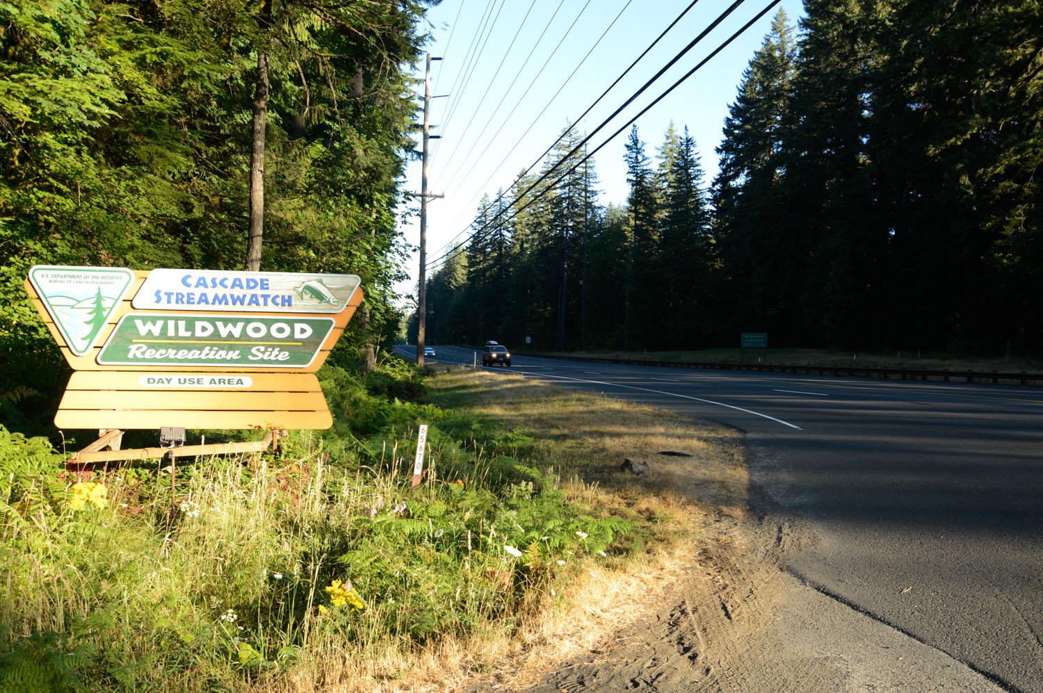 The sacred site at issue is known as Ana Kwna Nchi Nchi Patat (the “Place of Big Big Trees”) along Highway 26 near Mount Hood in Oregon. Photo courtesy of the Becket Fund for Religious Liberty
