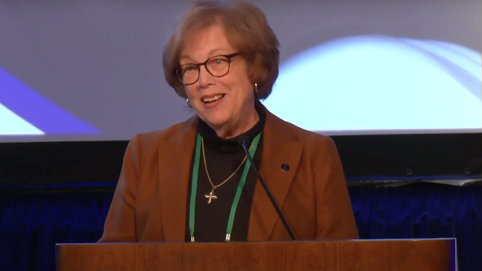 Sister Donna Markham, retiring president and CEO of Catholic Charities USA, addresses the U.S. Conference of Catholic Bishops fall meeting in Baltimore. Video screen grab
