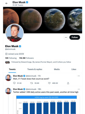 Elon Musk's Twitter page. Screen grab