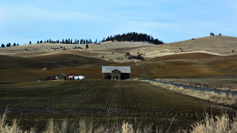 A barn stands alone in the heart of the American Redoubt region near the Idaho-Washington border in early February 2023. RNS photo by Jack Jenkins