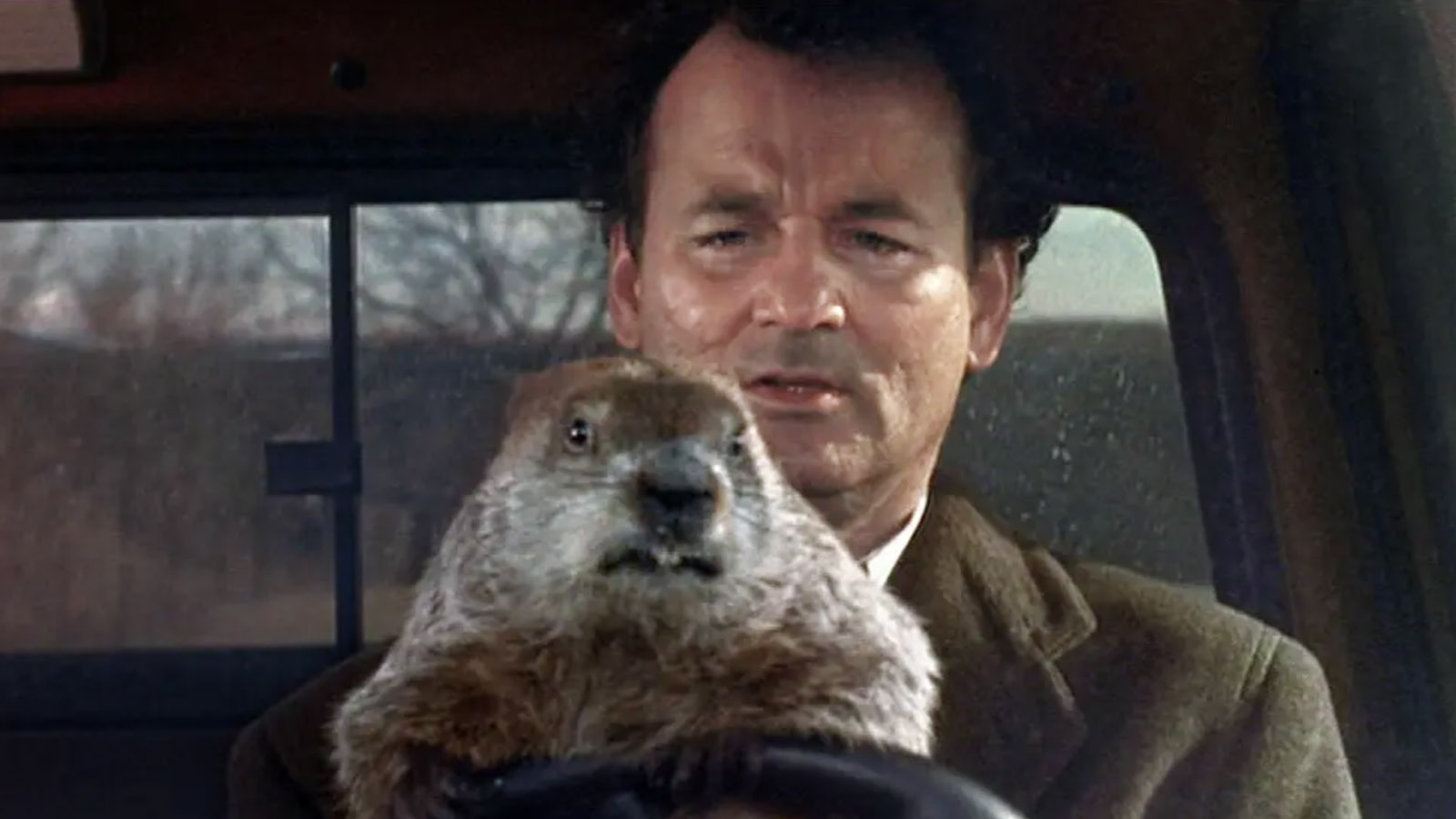 After 30 years, Buddhist-inspired message of ‘Groundhog Day’ still holds spiritual power