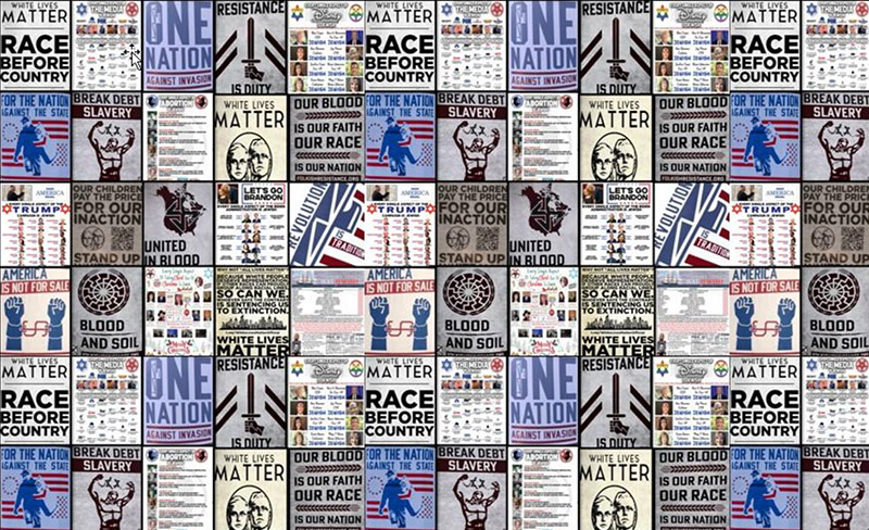 Sampling of white supremacist propaganda collected by the ADL in 2022. Images courtesy of ADL