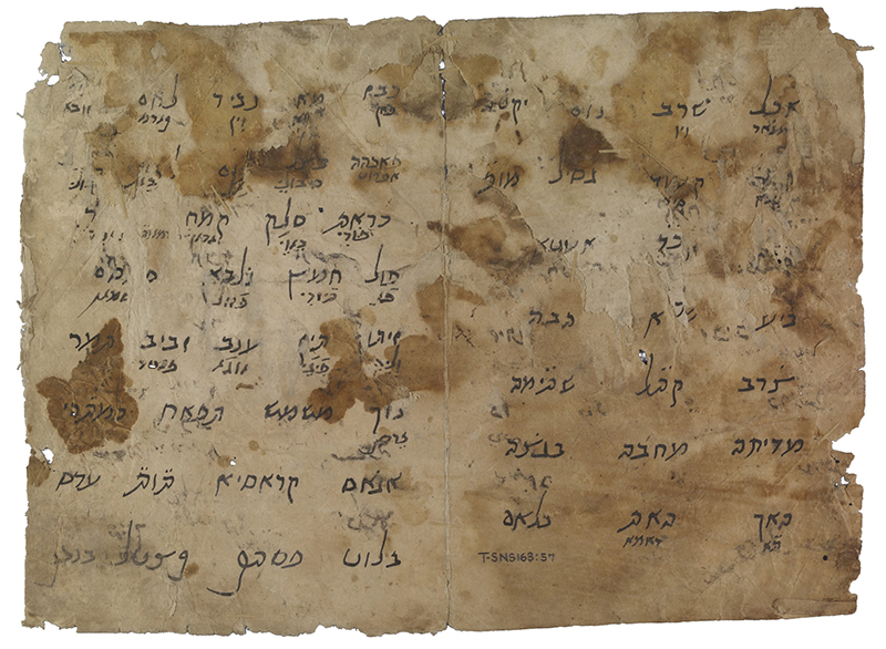 Two pages from Maimonides’ notebook in which he has listed words in Judaeo-Arabic and given Judaeo-Romance translations beneath. Photo courtesy Cambridge University