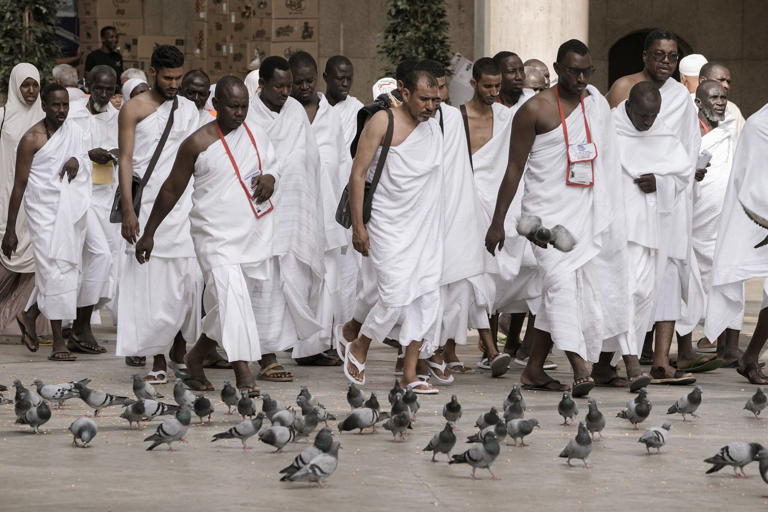 Pilgrims walk beside pigeons outside the Grand Mosque, during the annual hajj pilgrimage, in Mecca, Saudi Arabia, Saturday, June 24, 2023. Muslim pilgrims are converging on Saudi Arabia's holy city of Mecca for the largest hajj since the coronavirus pandemic severely curtailed access to one of Islam's five pillars. (AP Photo/Amr Nabil)