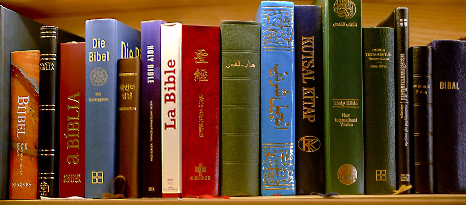 USC researchers use AI to help translate Bible into very rare languages