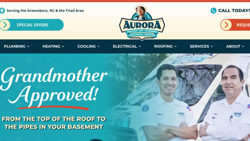 Website of Aurora Pro Services. Screen grab