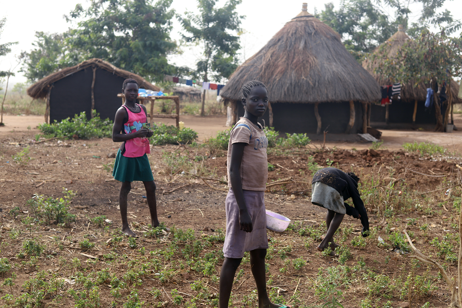 South Sudanese refugees pick vegetables in the garden at an Internally Displaced Peoples camp near Malakal, in northern South Sudan. Photo by Tonny Onyulo