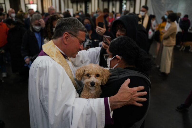 Each year, services on St. Francis' feast day draw humans and animals alike to the Cathedral of St. John the Divine in New York. (Lokman Vural Elibol/Anadolu Agency via Getty Images)