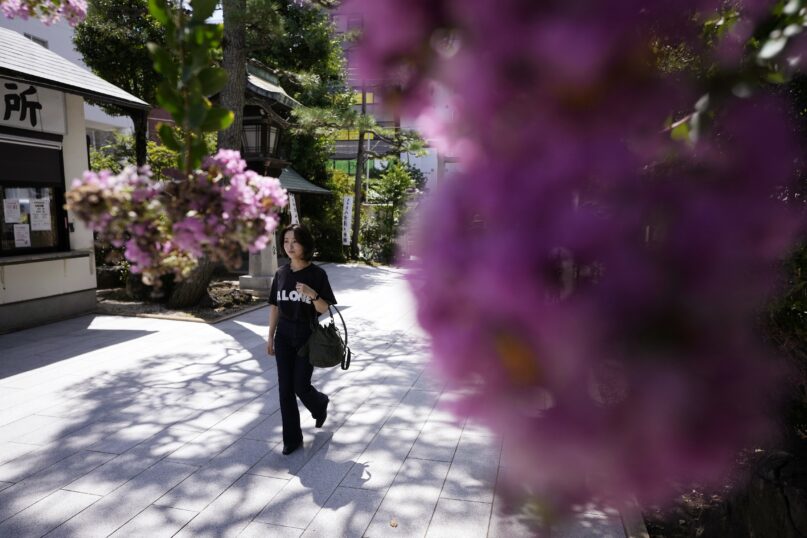 Momo Nomura, a graphic designer and a business owner, walks to collect Goshuin, a seal stamp certifying her visit that comes with elegant calligraphy and the season’s drawings, at Sakura Jingu shrine Wednesday, Aug. 30, 2023, in Tokyo. (AP Photo/Eugene Hoshiko)