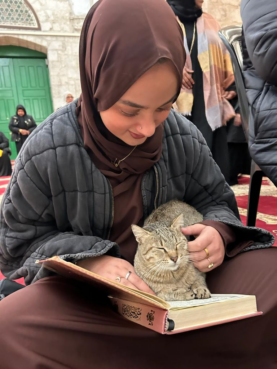 A cats crawls into the lap of Amal Ali as she reads the Quran the al Aqsa mosque. (Photo by Dilshad Ali)