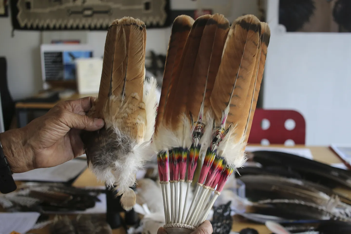 Man to plead guilty in ‘killing spree’ of eagles and other birds for feathers prized by tribes