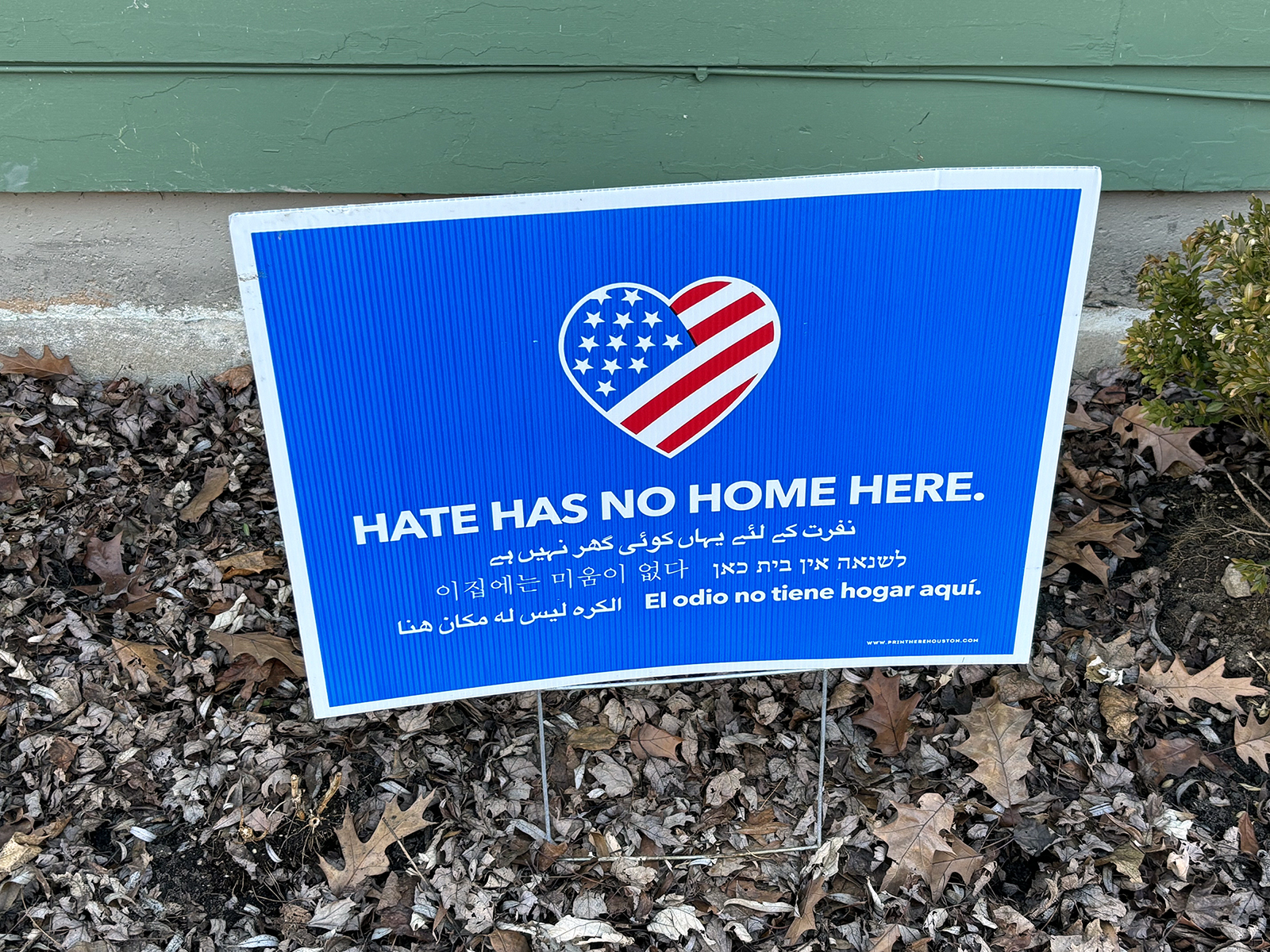 I am not going to hate you