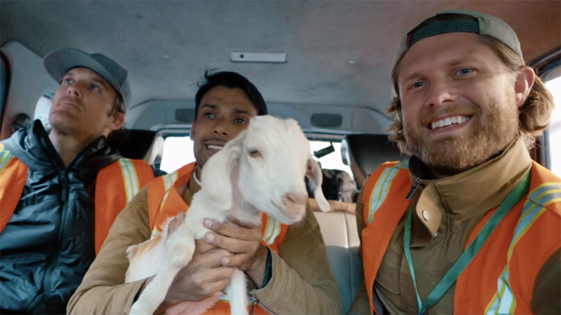 Filmmakers Kip Andersen, left, and Kameron Waters, right, with a rescuer and a lamb in a scene from 