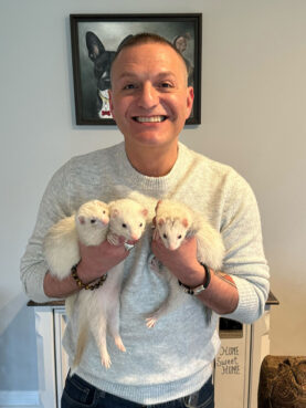 Matty Giuliano poses with his three ferrets at his home in Eatontown, New Jersey, April 1, 2024. (RNS photo/Kathryn Post)