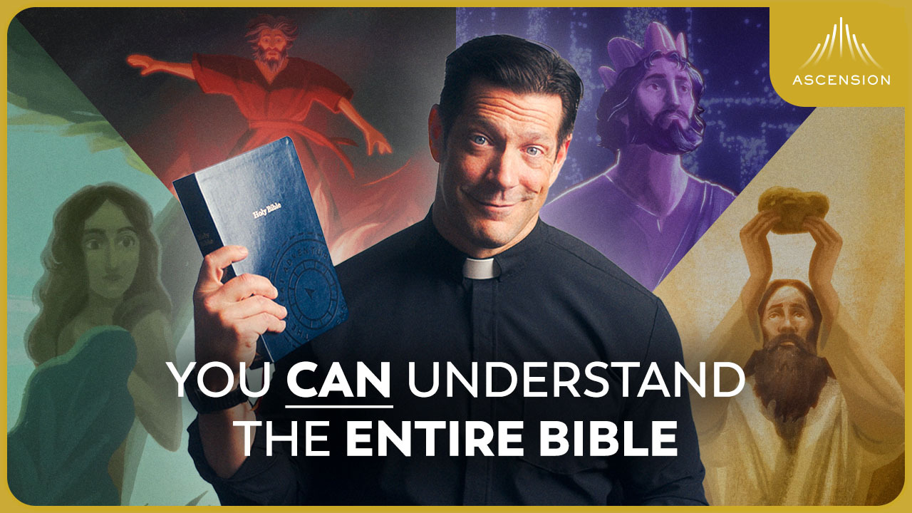 Ascension’s new ‘The Bible in 10 Minutes (ft. Fr. Mike Schmitz)’ video hits 1M views in 3 days