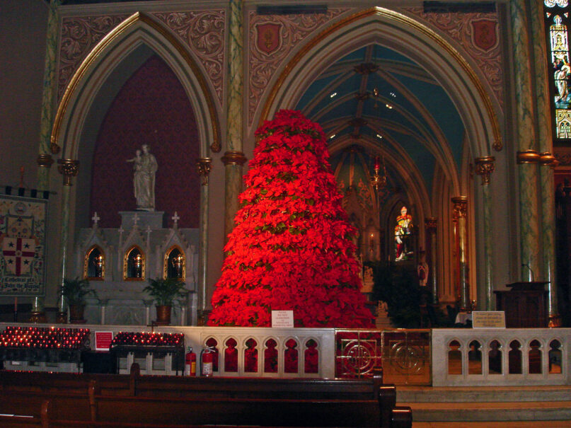 Are you a Christmas-only Catholic? What you need to know before going back to church.