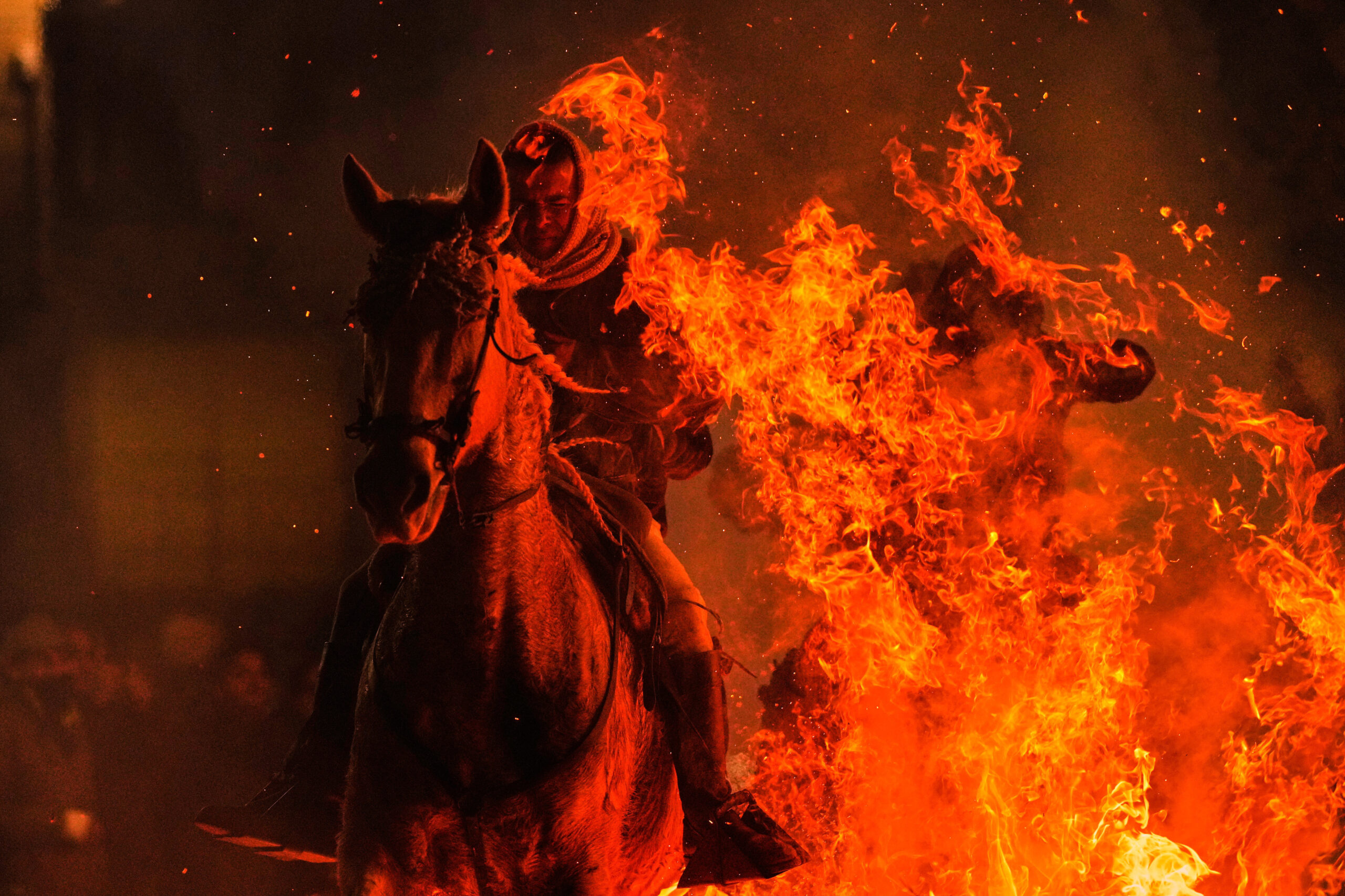 Horses leap through flames and pets go to church in Spanish animal rituals honoring St Anthony