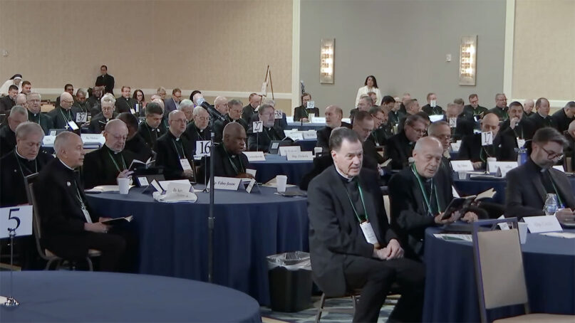 Catholic bishops approve revised abuse guidelines despite calls for broader reform